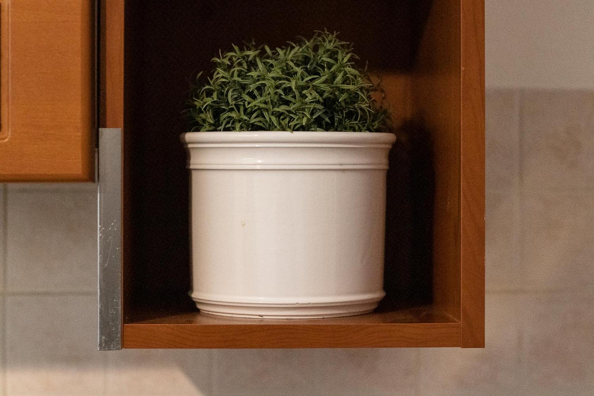 Casa Emilia Apartman Volterra Kültér fotó